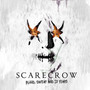 Blood Sweat & 20 Years - Scarecrow