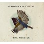 Fragile - O'Hooley Aad Tidow