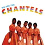 We Are The Chantels - The Chantels