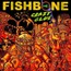 Crazy Glue - Fishbone