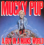 A Boy In A Man's World - Mucky Pup