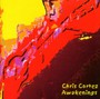 Awakenings - Chris Cortez