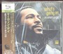 What's Going On - Marvin Gaye