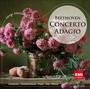 Concerto Adagio - L.V. Beethoven