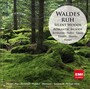 Waldesruh: Romantic Moods - V/A