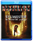 Sylwester W Nowym Jorku - Movie / Film