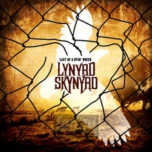 Last Of A Dyin' Breed - Lynyrd Skynyrd