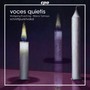 Voces Quietis - Schnittpunktvokal