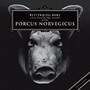 Porcus Norvegicus - Blitzkrieg Baby & Squeali