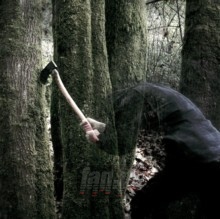 Bushcraft - Baptists Bushcraft - Baptists