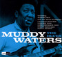 Blues - Muddy Waters