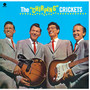 Chirping Crickets - Buddy Holly / The Crickets