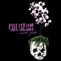 Sister Faith - Coliseum