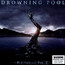 Resilience - Drowning Pool Resilience - Drowning Pool