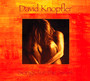 Songs For The Siren - David Knopfler
