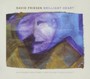 Brilliant Heart - David Friesen