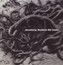Swallow The Snake - Desultory