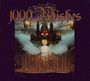1000 Wishes - Pbii