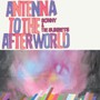 Antenna To The Afterworld - Sonny & The Sunsets