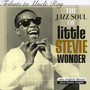 Tribute To Uncle Ray - Stevie Wonder