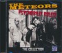 Psychobilly Rules - The Meteors