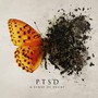 A Sense Of Decay - PTSD