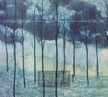 Desire Lines - Camera Obscura