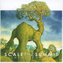 Migration - Scale The Summit