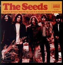 Bad Part Of Town - The Seeds
