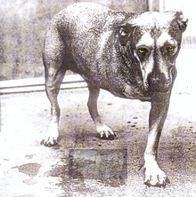 Alice In Chains - Alice In Chains - bigger Alice In Chains - Alice In Chains