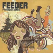 Pushing The Senses - Feeder