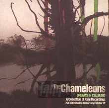 Dreams In Celluloid - The Chameleons - bigger Dreams In Celluloid - The Chameleons
