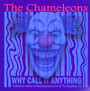 Why Call It Anything - The Chameleons