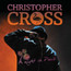 A Night In Paris - Christopher Cross