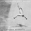 Sticky Wickets - Duckworth Lewis Method