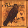 The Blackbird Diaries - Dave Stewart