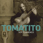 Soy Flamenco - Tomatito