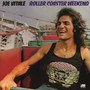 Roller Coaster Weekend - Joe Vitale