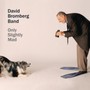 Only Slightly Mad - David Bromberg  & Band