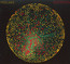Antiphon - Midlake
