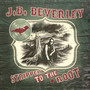 Stripped To The Root - J Beverley . B.