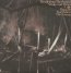 Swamps - Widowspeak