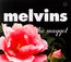 Maggot - Melvins Maggot - Melvins