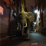D'ZZZZ - Misty Conditions