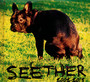 Seether: 2002-2013 - Seether