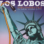 Disconnected In New York - Los Lobos