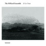 Il Cor Tristo - The Hilliard Ensemble 