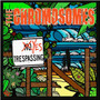 Yes Tresspassing - Chromosomes