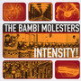 Intensity - The Bambi Molesters 