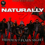 Hidden In Plain Sight - Naturally 7